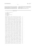 Probes for Detection of SULT1A1 Gene, Reagent Containing the Same, and the     Uses Thereof diagram and image