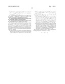 Probes for Detection of SULT1A1 Gene, Reagent Containing the Same, and the     Uses Thereof diagram and image