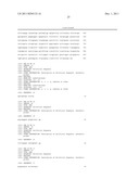 METHODS FOR DETERMINING THE PRESENCE OR ABSENCE OF ELITE EVENT RF-BN1 IN     BRASSICA PLANT MATERIAL diagram and image