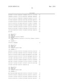 METHODS FOR DETERMINING THE PRESENCE OR ABSENCE OF ELITE EVENT RF-BN1 IN     BRASSICA PLANT MATERIAL diagram and image