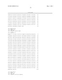 METHODS FOR DETERMINING THE PRESENCE OR ABSENCE OF ELITE EVENT RF-BN1 IN     BRASSICA PLANT MATERIAL diagram and image