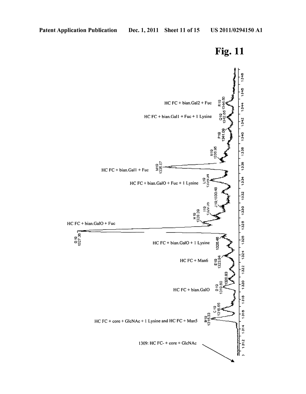 IMMUNOGLOBULIN GLYCOSYLATION PATTERN ANALYSIS - diagram, schematic, and image 12