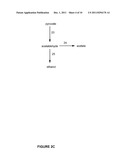 Pentose Fermentation By a Recombinant Microorganism diagram and image