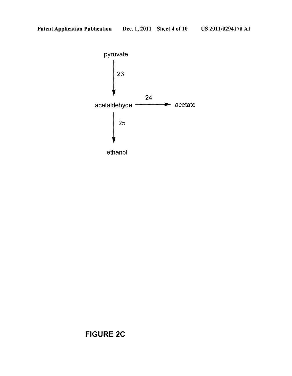 Pentose Fermentation By a Recombinant Microorganism - diagram, schematic, and image 05