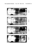 USE OF IONIC LIQUIDS FOR IMPLEMENTING A PROCESS FOR THE PREPARATION OF     BIODIESEL diagram and image