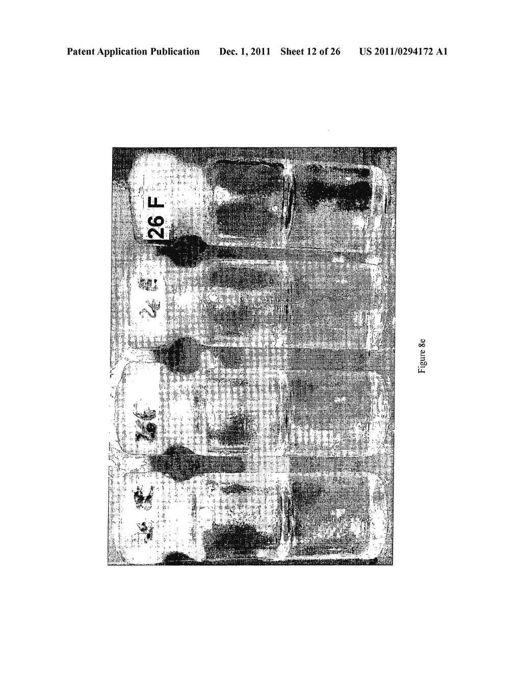 USE OF IONIC LIQUIDS FOR IMPLEMENTING A PROCESS FOR THE PREPARATION OF     BIODIESEL - diagram, schematic, and image 13