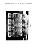 USE OF IONIC LIQUIDS FOR IMPLEMENTING A PROCESS FOR THE PREPARATION OF     BIODIESEL diagram and image