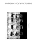 USE OF IONIC LIQUIDS FOR IMPLEMENTING A PROCESS FOR THE PREPARATION OF     BIODIESEL diagram and image