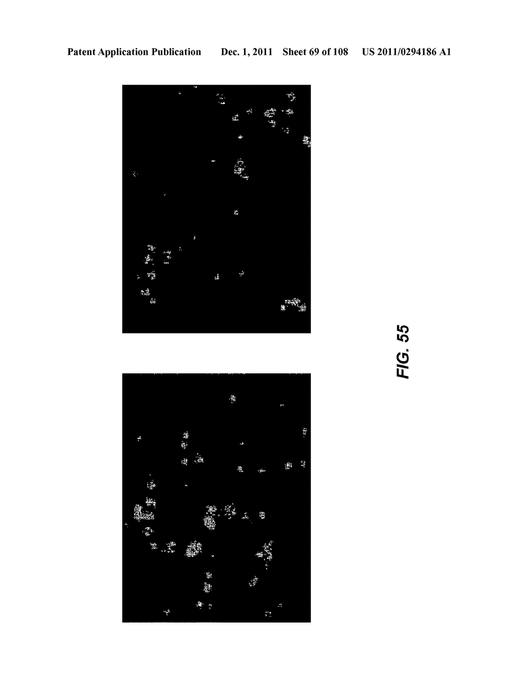 DEVICES AND METHODS FOR ENRICHMENT AND ALTERATION OF CIRCULATING TUMOR     CELLS AND OTHER PARTICLES - diagram, schematic, and image 70