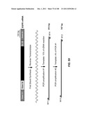 DEVICES AND METHODS FOR ENRICHMENT AND ALTERATION OF CIRCULATING TUMOR     CELLS AND OTHER PARTICLES diagram and image