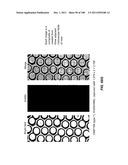 DEVICES AND METHODS FOR ENRICHMENT AND ALTERATION OF CIRCULATING TUMOR     CELLS AND OTHER PARTICLES diagram and image