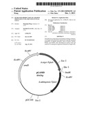 INCREASED PRODUCTION OF ASPARTIC PROTEASES IN FILAMENTOUS FUNGAL CELLS diagram and image