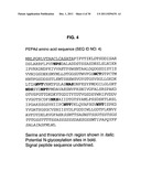 INCREASED PRODUCTION OF ASPARTIC PROTEASES IN FILAMENTOUS FUNGAL CELLS diagram and image