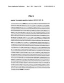 INCREASED PRODUCTION OF ASPARTIC PROTEASES IN FILAMENTOUS FUNGAL CELLS diagram and image