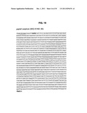 INCREASED PRODUCTION OF ASPARTIC PROTEASES IN FILAMENTOUS FUNGAL CELLS diagram and image