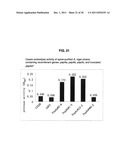 INCREASED PRODUCTION OF ASPARTIC PROTEASES IN FILAMENTOUS FUNGAL CELLS diagram and image