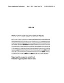 INCREASED PRODUCTION OF ASPARTIC PROTEASES IN FILAMENTOUS FUNGAL CELLS diagram and image