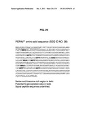 INCREASED PRODUCTION OF ASPARTIC PROTEASES IN FILAMENTOUS FUNGAL CELLS diagram and image