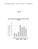 INCREASED PRODUCTION OF ASPARTIC PROTEASES IN FILAMENTOUS FUNGAL CELLS diagram and image