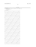 INCREASED PRODUCTION OF ASPARTIC PROTEASES IN FILAMENTOUS FUNGAL CELLS diagram and image