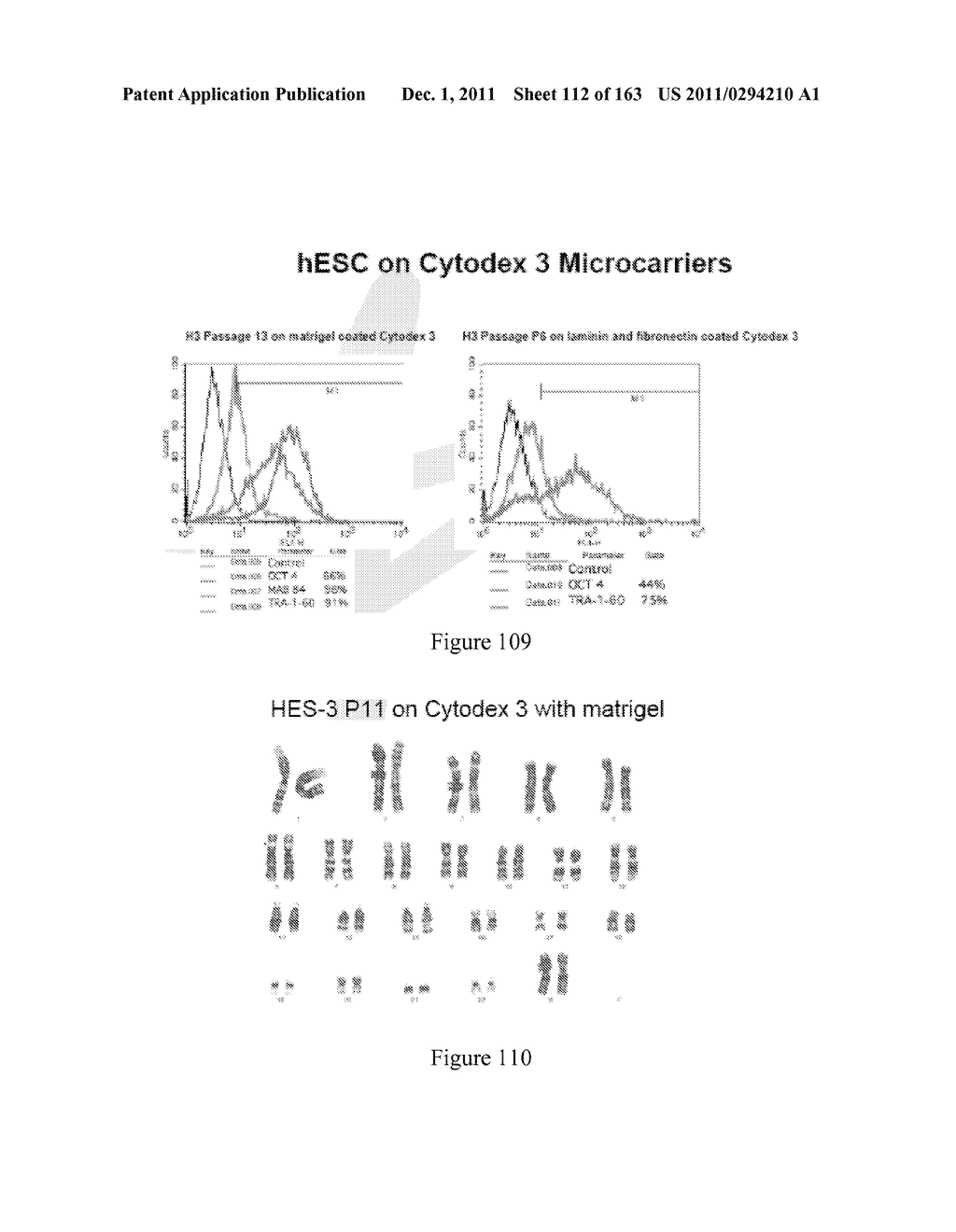 Microcarriers for Stem Cell Culture - diagram, schematic, and image 113