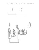 HEPATOCYTE LINEAGE CELLS diagram and image