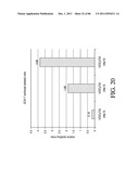 HEPATOCYTE LINEAGE CELLS diagram and image