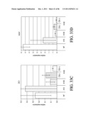 HEPATOCYTE LINEAGE CELLS diagram and image