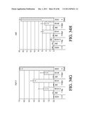 HEPATOCYTE LINEAGE CELLS diagram and image