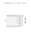 HEPATOCYTE LINEAGE CELLS diagram and image