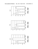 HEPATOCYTE LINEAGE CELLS diagram and image