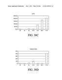 HEPATOCYTE LINEAGE CELLS diagram and image