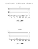 HEPATOCYTE LINEAGE CELLS diagram and image