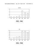 HEPATOCYTE LINEAGE CELLS diagram and image