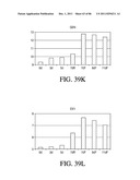 HEPATOCYTE LINEAGE CELLS diagram and image