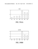 HEPATOCYTE LINEAGE CELLS diagram and image