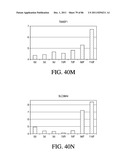 HEPATOCYTE LINEAGE CELLS diagram and image