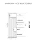 HEPATOCYTE LINEAGE CELLS diagram and image