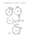 Methods of Screening Molecular Libraries and Active Molecules Identified     Thereby diagram and image