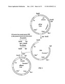 Methods of Screening Molecular Libraries and Active Molecules Identified     Thereby diagram and image