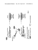 Methods of Screening Molecular Libraries and Active Molecules Identified     Thereby diagram and image