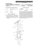 REHABILITATION SUPPORT APPARATUS diagram and image