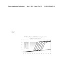 MODIFIED RNASE H AND DETECTION OF NUCLEIC ACID AMPLIFICATION diagram and image