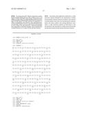 MODIFIED RNASE H AND DETECTION OF NUCLEIC ACID AMPLIFICATION diagram and image