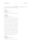 MODIFIED RNASE H AND DETECTION OF NUCLEIC ACID AMPLIFICATION diagram and image