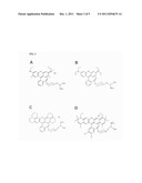 NOVEL COMBINATION OF FLUORESCENT DYES FOR THE DETECTION OF NUCLEIC ACIDS diagram and image