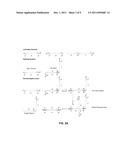 SYSTEM AND METHOD FOR PROPAGATING INFORMATION USING MODIFIED NUCLEIC ACIDS diagram and image