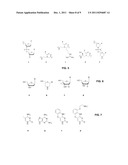 SYSTEM AND METHOD FOR PROPAGATING INFORMATION USING MODIFIED NUCLEIC ACIDS diagram and image