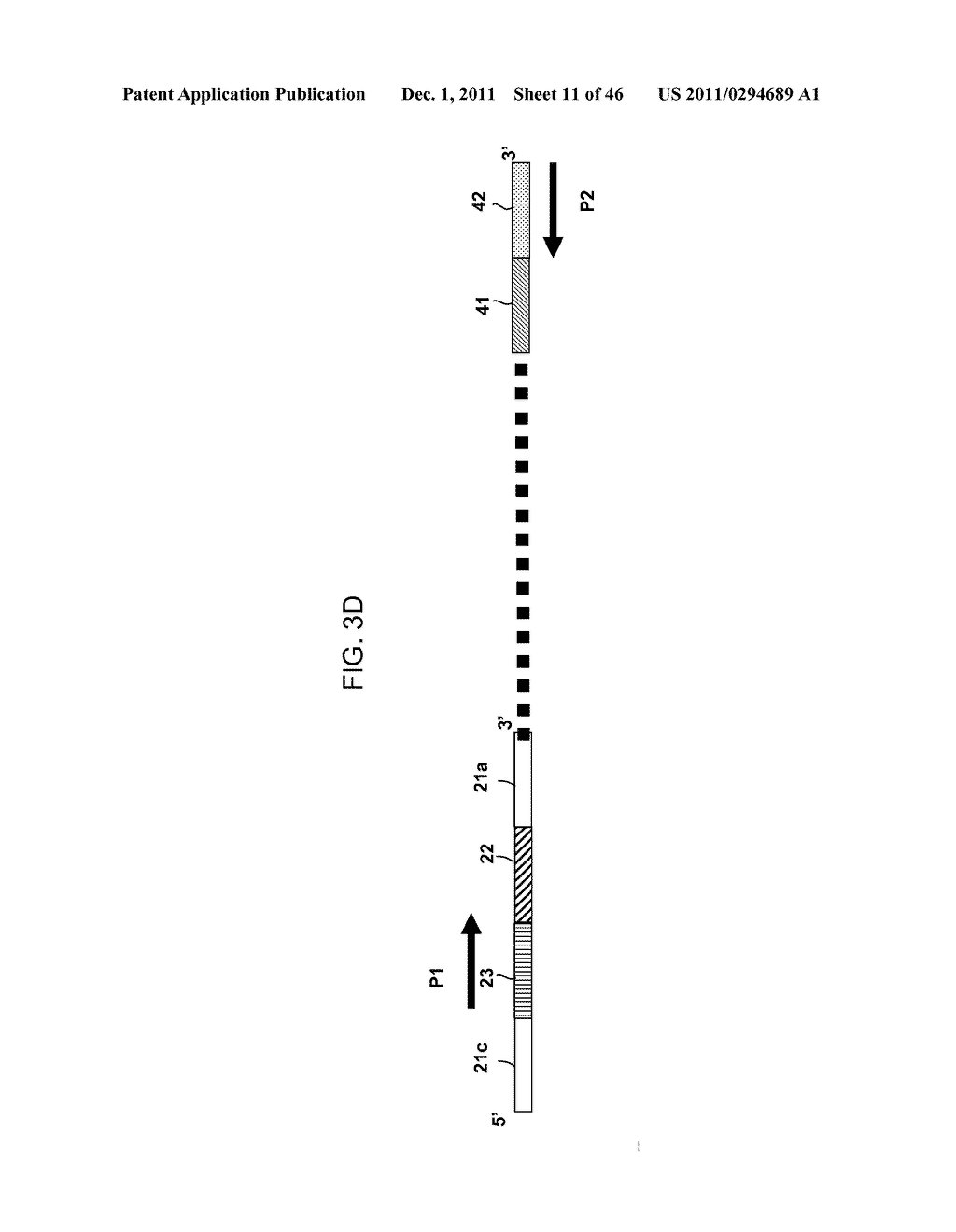 Multiplex Amplification Methods - diagram, schematic, and image 12