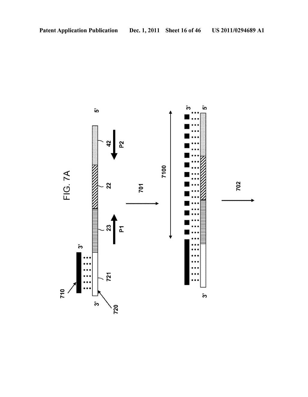 Multiplex Amplification Methods - diagram, schematic, and image 17